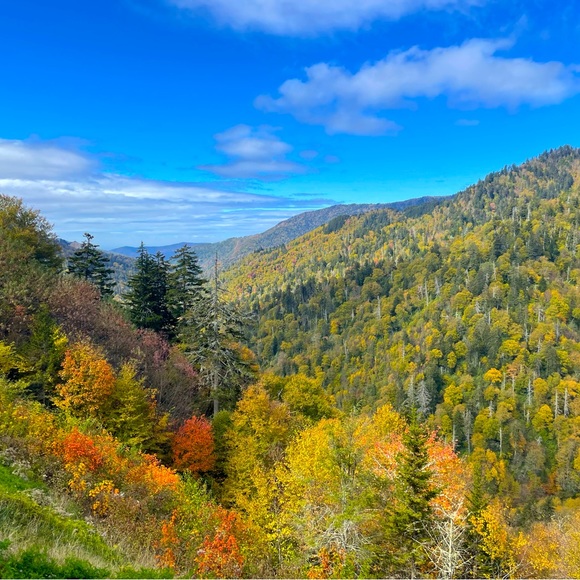 Meet your Posher! - Picture 1 of 1